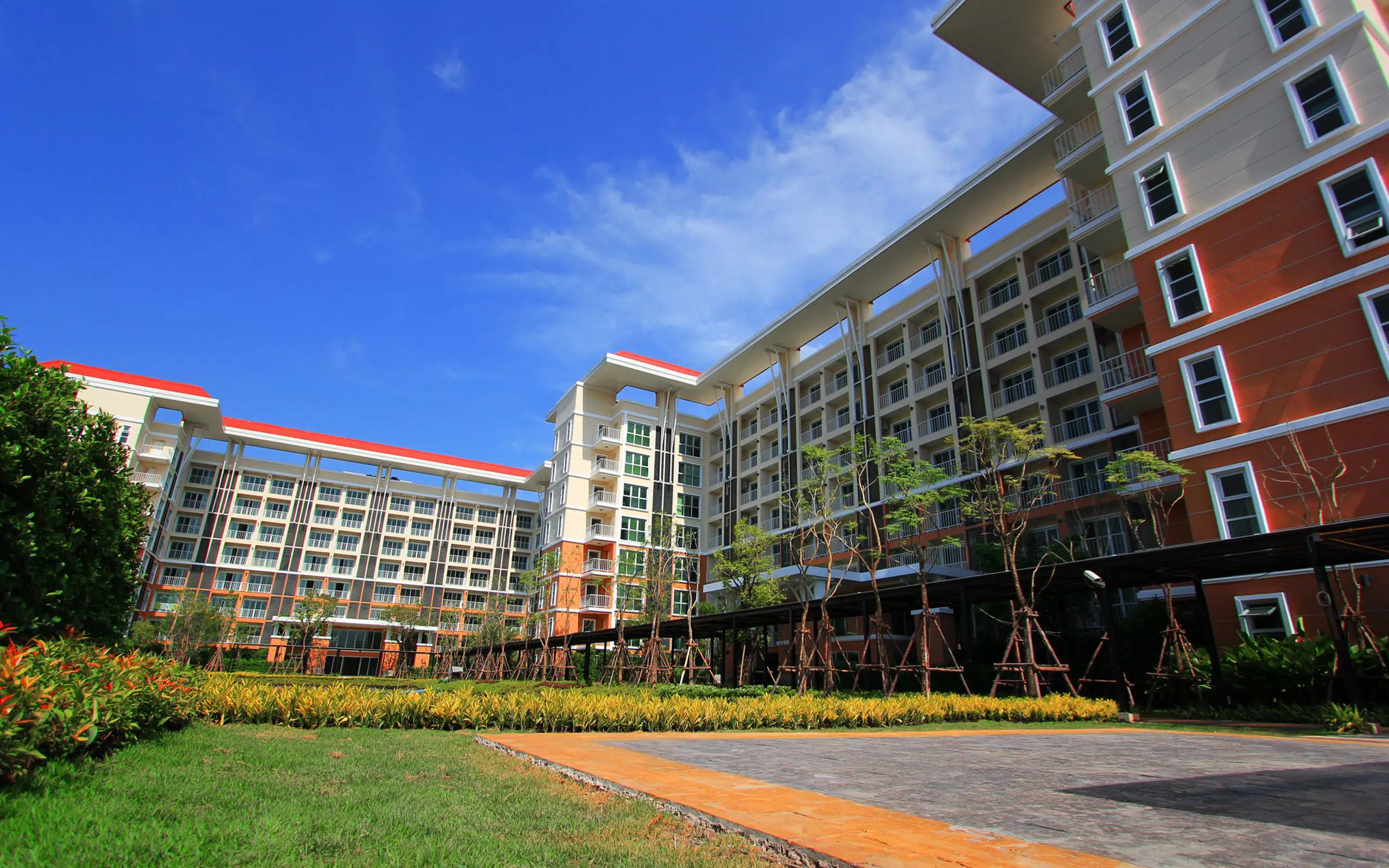 Photo gallery